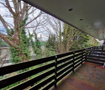 37 Colenso Court, Belfast, BT9 5BB - Photo 3