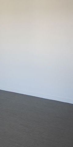 Location Appartement 1 pièce 30m² ANGERS 49000 - Photo 1