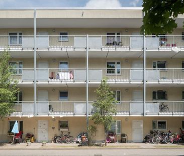 3-Zimmer-Wohnung in Braunschweig Innenstadt - Foto 3