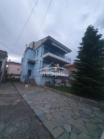 Διαμέρισμα για ενοικίαση Νεοχωρόπουλο (Ιωάννινα) - Φωτογραφία 5