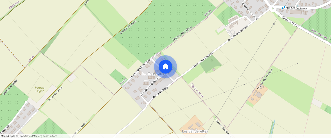 Chemin des Tourniaux 1B, Borex
