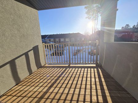 For Lease - 22 Franklin Avenue, Toronto, Ontario - Photo 5