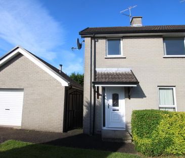 4 Loughinsholin Park, Castledawson, Magherafelt, BT45 8DF - Photo 5