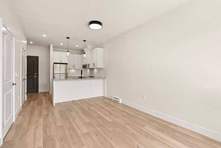 YEARLING - 306 - YE306 - Photo 2