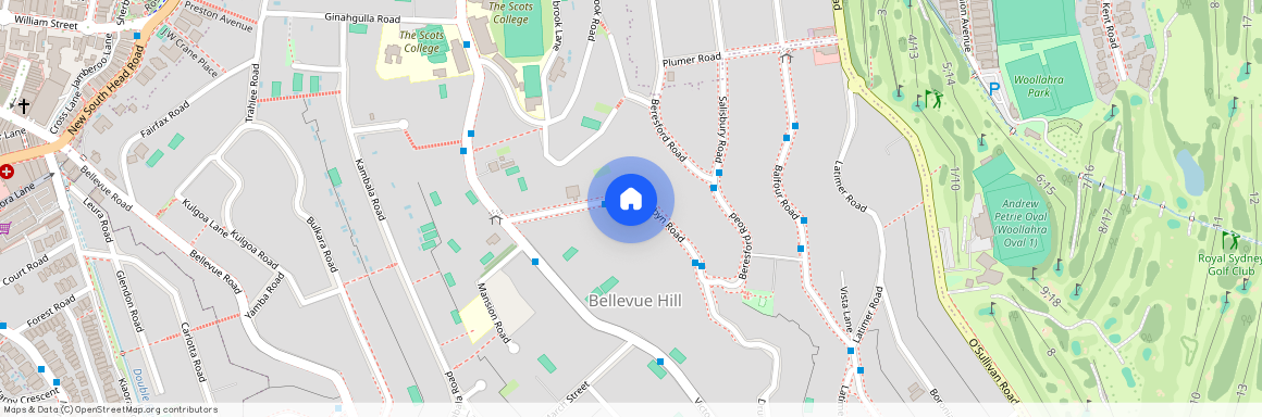 25 Drumalbyn Road, Bellevue Hill NSW 2023