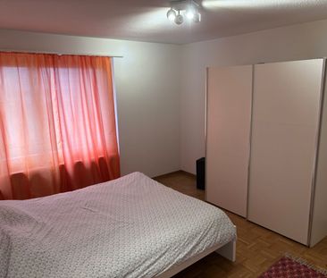 Appartement 2.5-Zimmer entièrement meublé récemment rénové à Dübend... - Photo 1