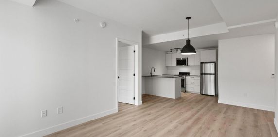 1 chambre - 1133 Avenue Viger Est, Montréal - Photo 2