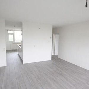 Torenmolen, 1035 AV Amsterdam, Nederland - Photo 2