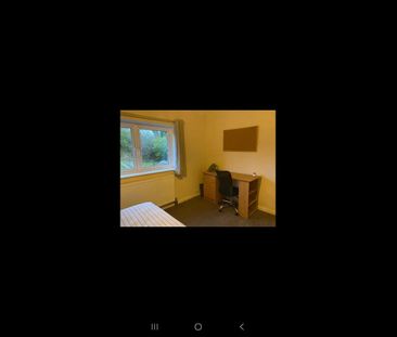 Room in a Shared House, Knepp Close, BN2 - Photo 4