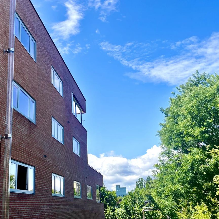 Exklusives ruhiges Wohnen am Mildenberg - Foto 1