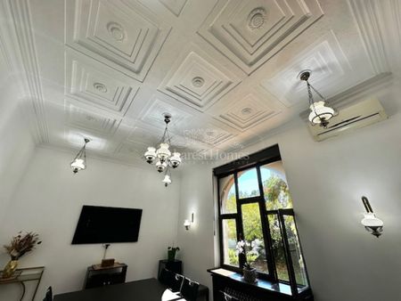 Heritage Home for Rent, Multi-Use 20 rooms, Downtown, Cismigiu area - Photo 2