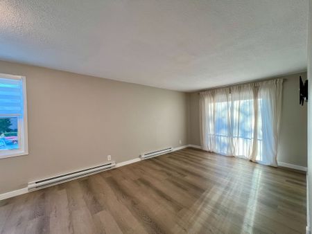 For Lease - 25 College Street Unit# 210, Belleville, Ontario - Photo 3