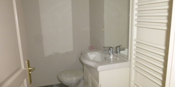 Location Appartement 1 pièce 22m² LE PUY EN VELAY 43000 - Photo 3