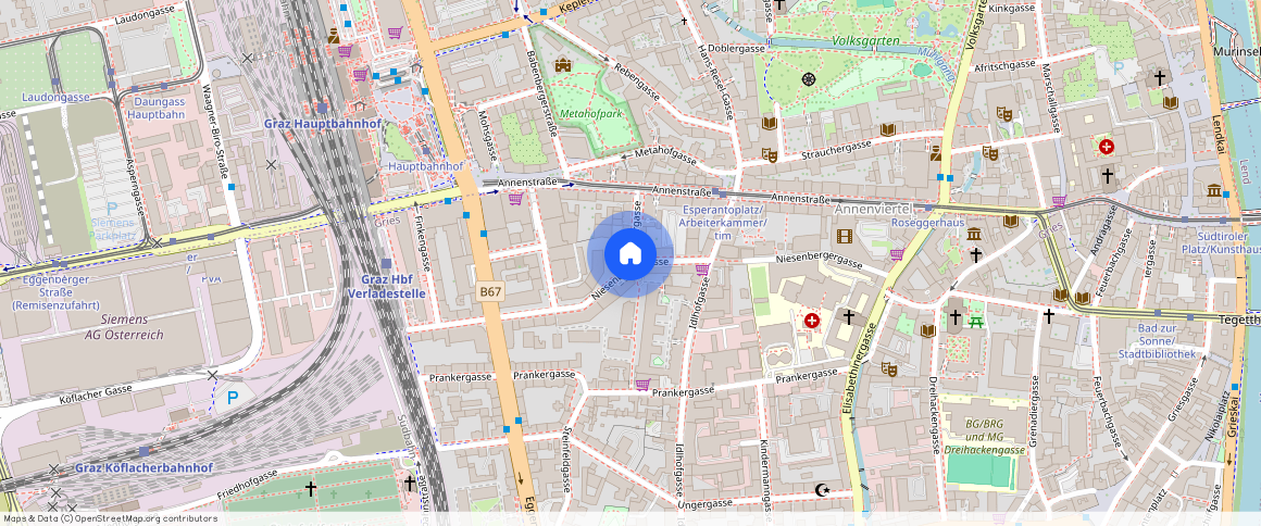 Niesenbergergasse 14-16 / 12, 8020, Graz