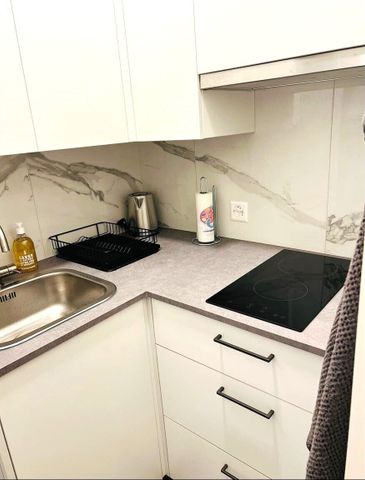 1.5 room apartment - Photo 4