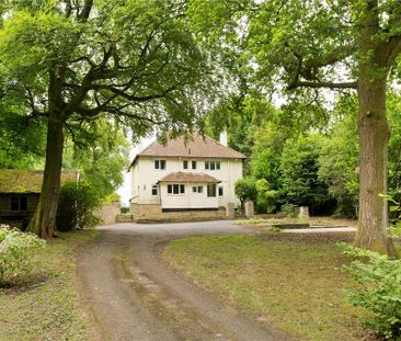4 bedroom detached house to rent - Photo 3