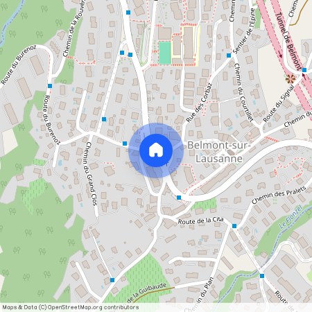 Sur demande, 1092 Belmont-sur-Lausanne