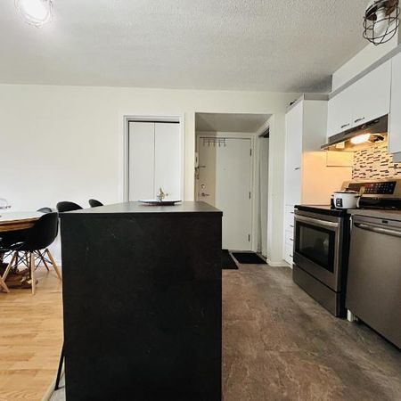 Appartement 3 ½ à louer Sainte-Foy / Sillery mai 2026 - Photo 4