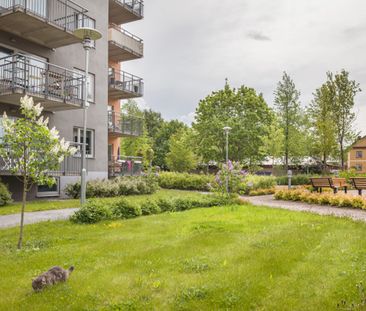 Klockargatan 6 B, 75220, Uppsala - Photo 5