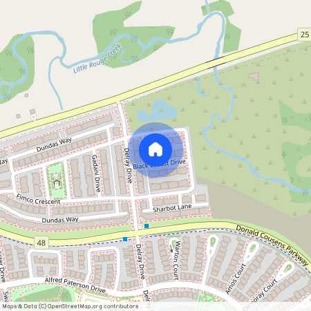 12 Black Locust Drive, Markham