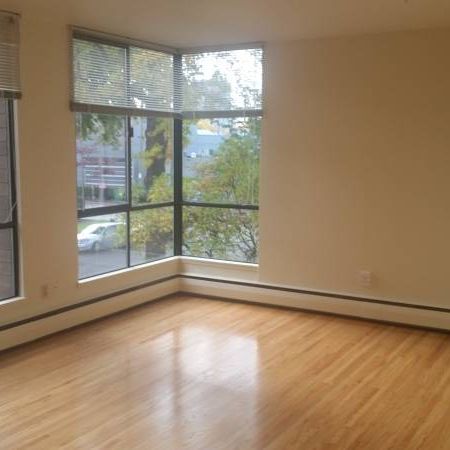 Spacious Studio in the Heart of South Granville (Unit 806) - Photo 4