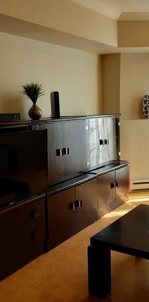 CONDO 4 1/2 MEUBLE, MONT-TREMBLANT A LOUER - Photo 1