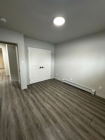 For Lease - 52 Fieldgate Drive Unit# Lower, Brantford, Ontario - Photo 3