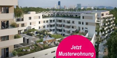 1 Zimmer | Clever geschnitten | Erstbezug - Photo 3