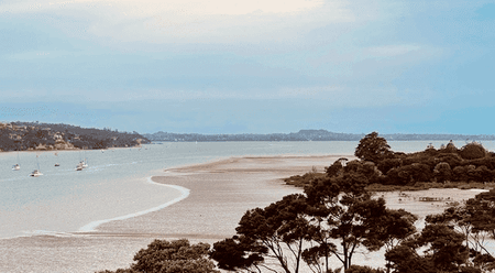 Be in for Christmas in Catalina Bay -West Wing - Photo 2