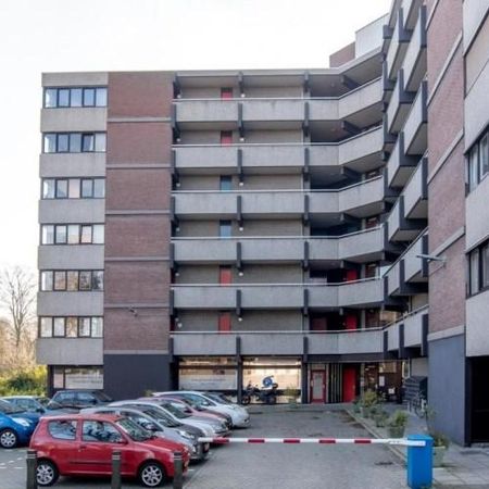 Victor van Vrieslandstraat, 2025 LS Haarlem, Nederland - Foto 3