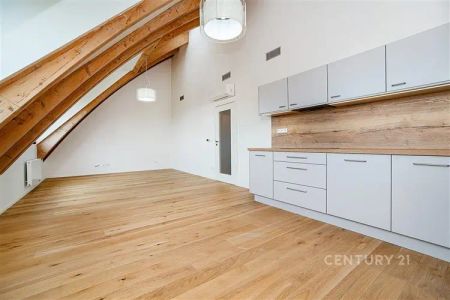 Nový atraktivní atypický prostorný východně orientovaný byt 1+kk, 48 m - Photo 3