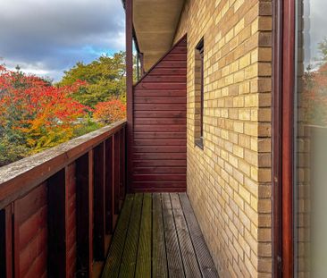 Studio to rent - Photo 2