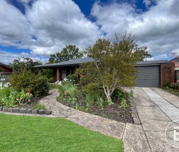 SPACIOUS FAMILY LIVING IN POPULAR ALFREDTON - Photo 6