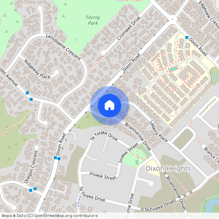 3 Ladeira Place, Fitzroy, Hamilton City