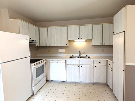 Strath Lane, Dartmouth 12-076 - Photo 3