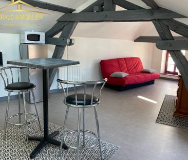 Location Appartement 1 pièce 23m² CHARLIEU 42190 - Photo 5