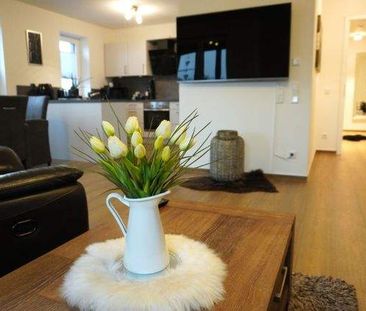 49809 Lingen (Ems), (Darme), Deutschland - Photo 5