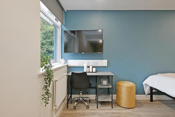 Studio to rent - Photo 1