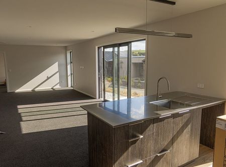 Brand New Executive 4-Bdm Family Home - Photo 5