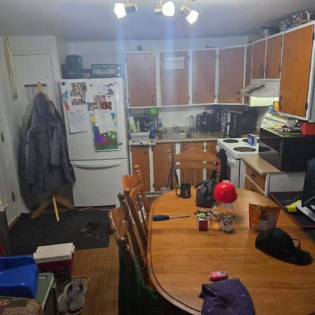 2 CH - 1 SDB - Sainte-Hélène-de-Bagot - $999 /mo - Photo 4