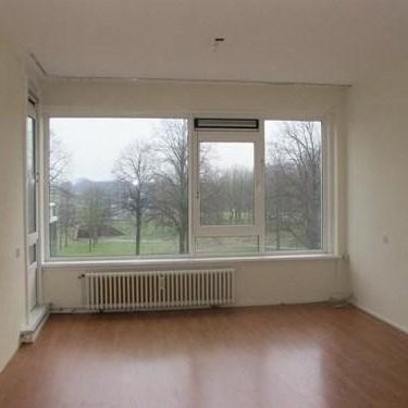 Burgemeester Hazenberglaan 0ong, 3078 Rotterdam, Nederland - Foto 1