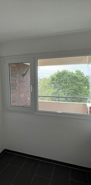 Mietwohnung in Nürnberg - Schnell sein, lohnt sich - Top Anbindung - Photo 1