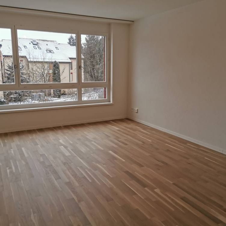 Magnifique appartement récemment rénové de 4½ pièces au 1er étage - Foto 1