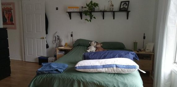 $1100 3 1/2 Près du Parc Maisonneuve chat permis et HMR - Photo 2