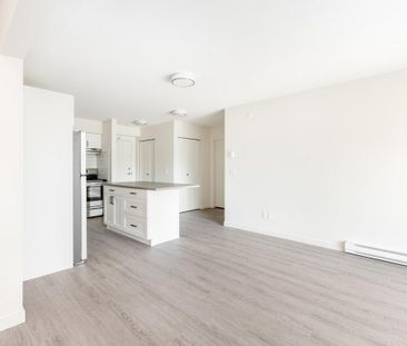 1 Bedroom + Den - Photo 2