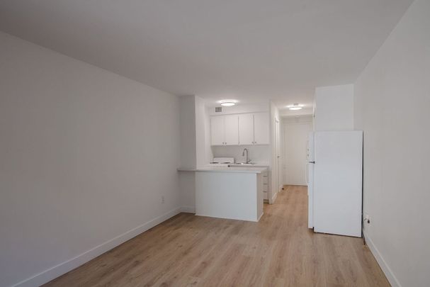 3460 Rue Durocher - Photo 1