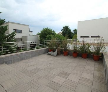 Luxury Villa with Swimming Pool near British School - Photo 4