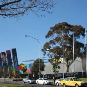 237/51 Rathdowne St, Carlton VIC 3053 - Studio For Rent | Domain - Photo 2