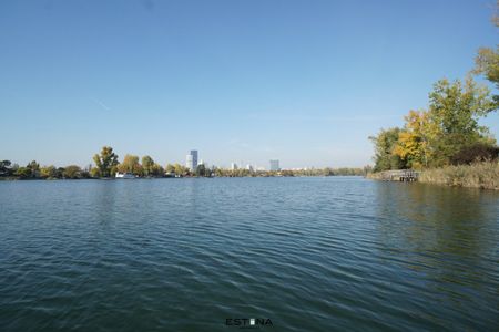 Doppelhaushälfte direkt bei der Alten Donau – Wohnen im Grünen mit Stadtnähe - Foto 2