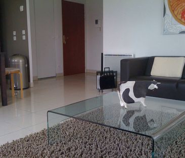 Location appartement 3 pièces 57.2 m² à Saint-Genis-Pouilly (01630) - Photo 3